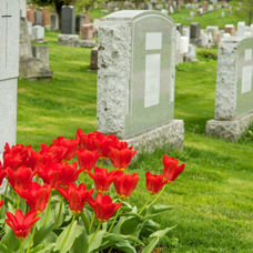 Кладовище Одеса